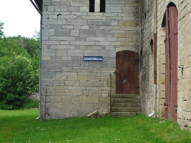 DSC03021